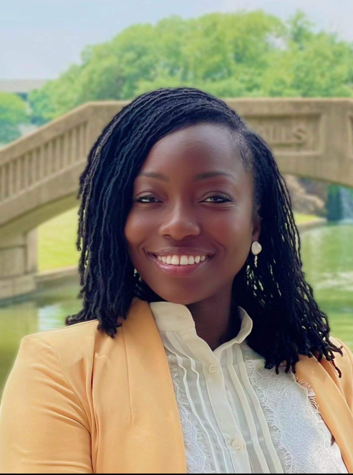 MSU ASO Alumni Association, Inc – Midwestern University African Student ...